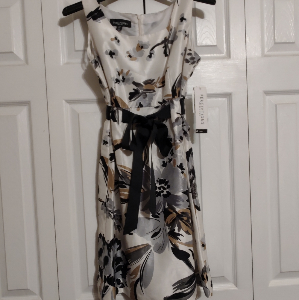 Dress size 6P